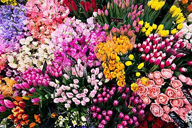 《街头霸王6》发售三周后 玩家最爱角色是谁？